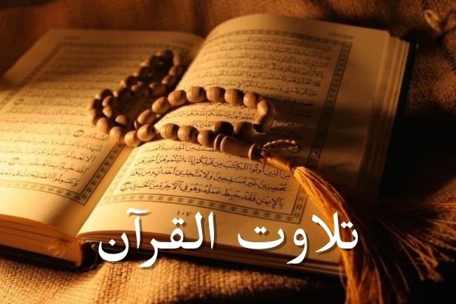 Learn Quran Recitation Online